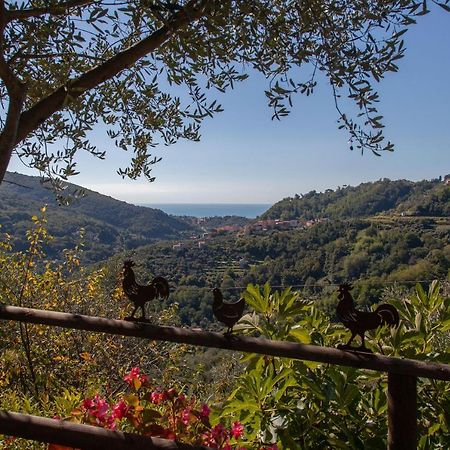 Pietrantica - Affittacamere Con Giardino Nuova Apertura A Trebiano -Citr Kültér fotó
