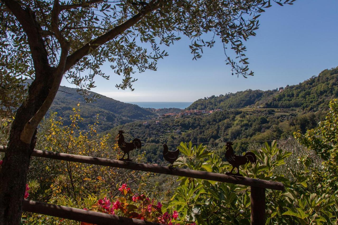 Pietrantica - Affittacamere Con Giardino Nuova Apertura A Trebiano -Citr Kültér fotó