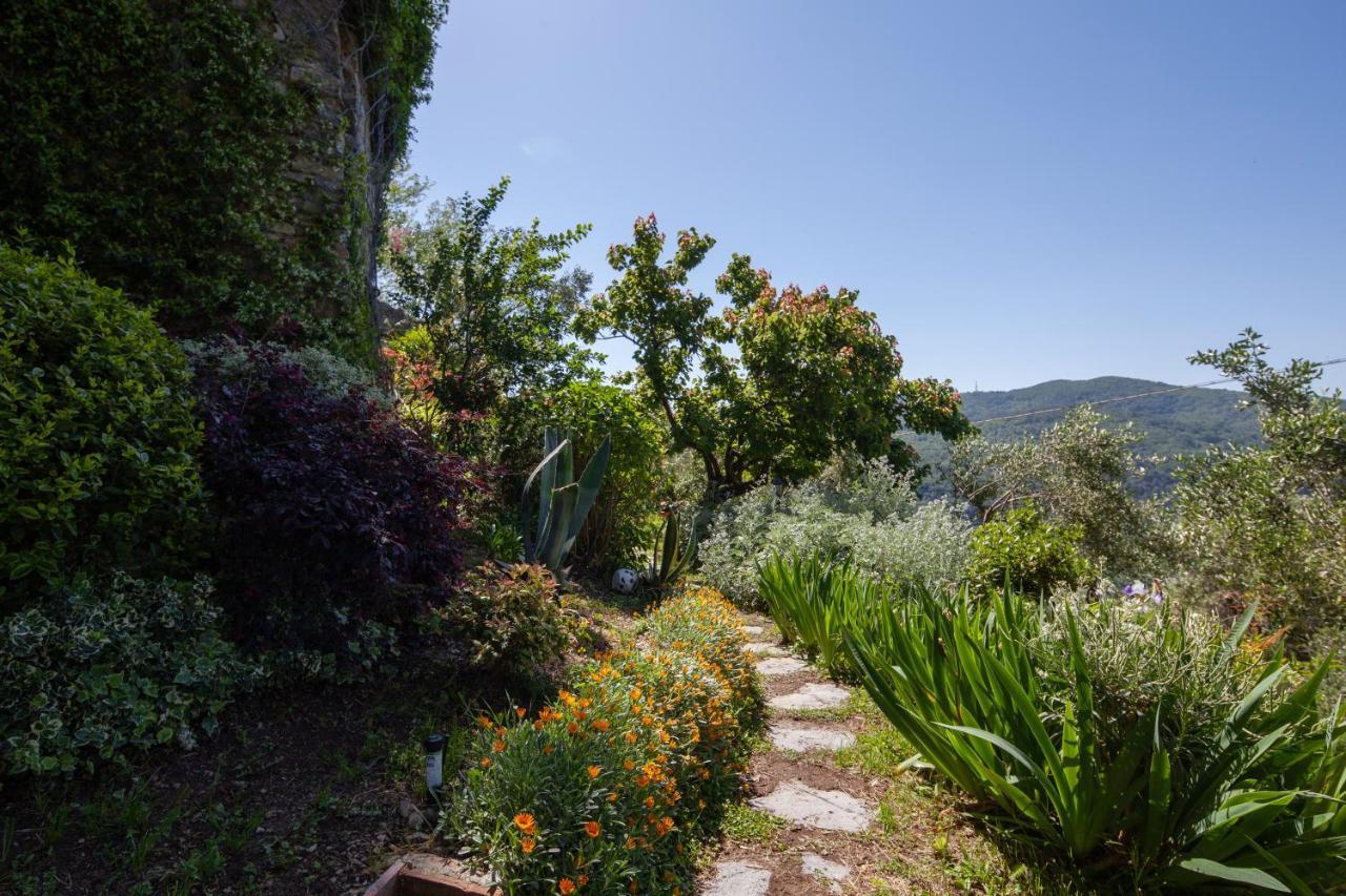 Pietrantica - Affittacamere Con Giardino Nuova Apertura A Trebiano -Citr Kültér fotó