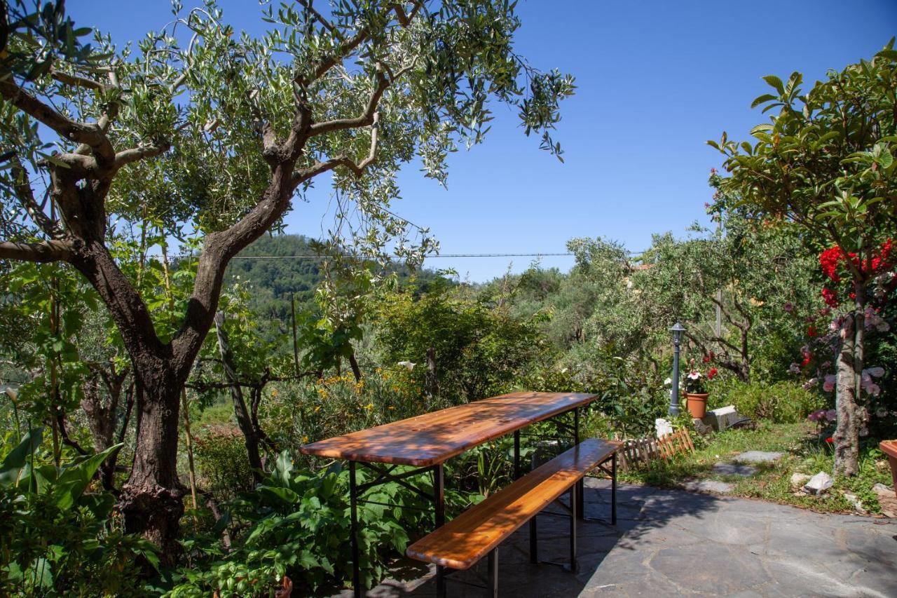 Pietrantica - Affittacamere Con Giardino Nuova Apertura A Trebiano -Citr Kültér fotó