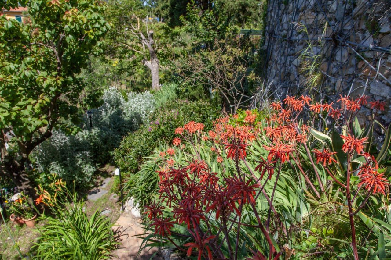 Pietrantica - Affittacamere Con Giardino Nuova Apertura A Trebiano -Citr Kültér fotó