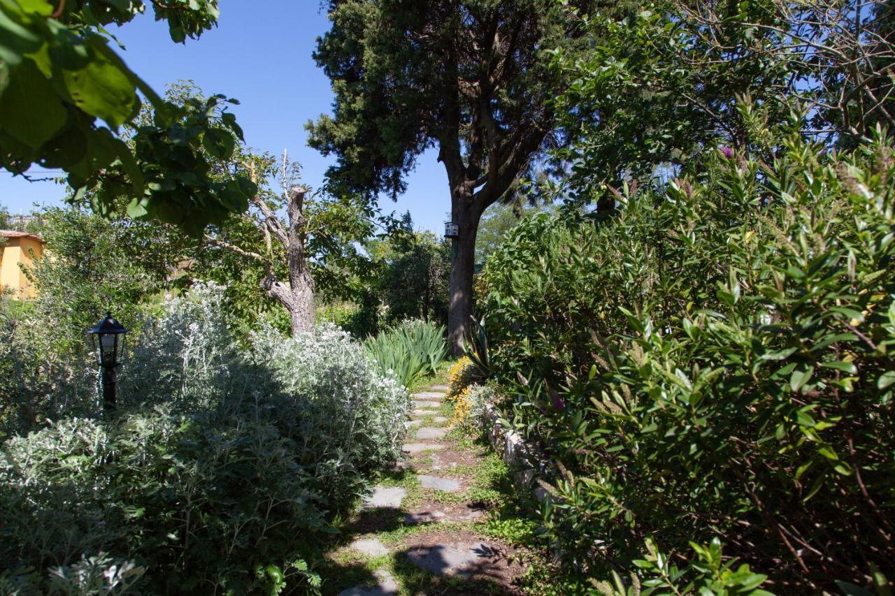 Pietrantica - Affittacamere Con Giardino Nuova Apertura A Trebiano -Citr Kültér fotó
