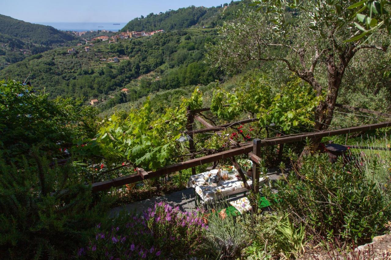 Pietrantica - Affittacamere Con Giardino Nuova Apertura A Trebiano -Citr Kültér fotó